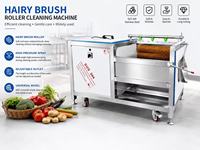 Geavanceerde industriële borstelrolwasmachine voor de reiniging van groenten en fruit in productielijnen