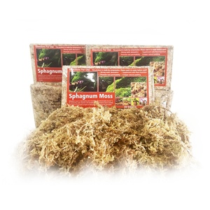 มอส sphagnum มอสแห้งสำหรับทำสวนดอกไม้กระถางปลูกพืชอวบน้ำขนาดกลาง - Product Image 6