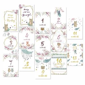 Carte mensuelle réversible Boho pour bébé, cartes de étapes, en papier, pour prise de photographie de nouveau-né, pour garçon et fille, - Product Image 5