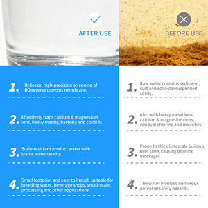 Système d'eau compact en acier inoxydable 250L/h, équipement haute efficacité pour la purification, pompe et PLC pour cuve - Product Image 3