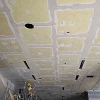 Solution acoustique pour plafond et mur sans joint Système mural sans joint Plafond acoustique Pulvérisation de plâtre Panneaux absorbants acoustiques
