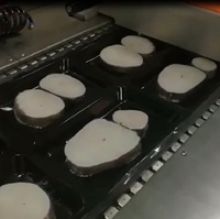 Machine d'emballage sous vide automatique DLZ pour poissons et fruits de mer, machine d'emballage sous film pour viande (type Balik Paketleme)