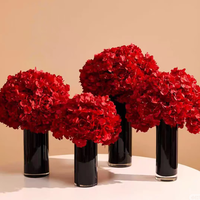 Fleur naturelle premium, véritable, durable, grande tête, hortensia à grandes feuilles, fleur séchée pour remplissage de boîte cadeau