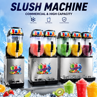 Machine à Granita Commerciale à 2 Réservoirs, Machine à Boissons Glacées en Acier Inoxydable pour Café et Bar
