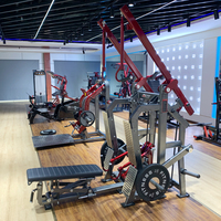 Machine Commerciale 2-en-1 Lat Pulldown et Rameur Longue, Équipement de Gymnastique à Double Fonction avec Poulie pour l'Entraînement de la Force du Dos