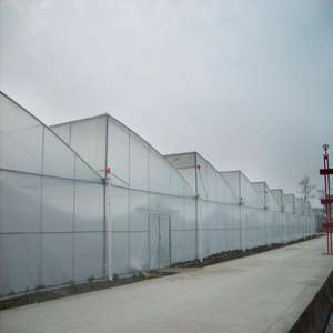 Serre Hydroponique Agricole <span class=keywords><strong>Superferme</strong></span> Type Dents de Scie à Vendre - Product Image 5