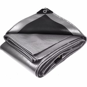 Bâche en PE imperméable de qualité supérieure, double face enduite, anti-UV, bâche en plastique, auvent de camion, protection de jardin, rouleau - Product Image 1