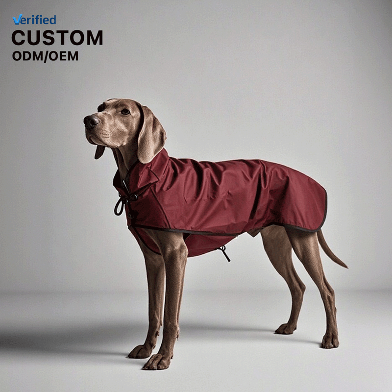 Joymay Custom Luxury Designer Pet Hoodie