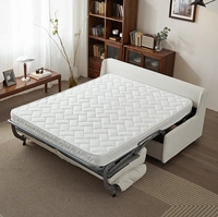 Modernes Hochwertiges Creme-Leder Klappsofa-Bett Leichter Luxus Multifunktional für Zuhause Kleine Apartments Schlafzimmer-Nutzung