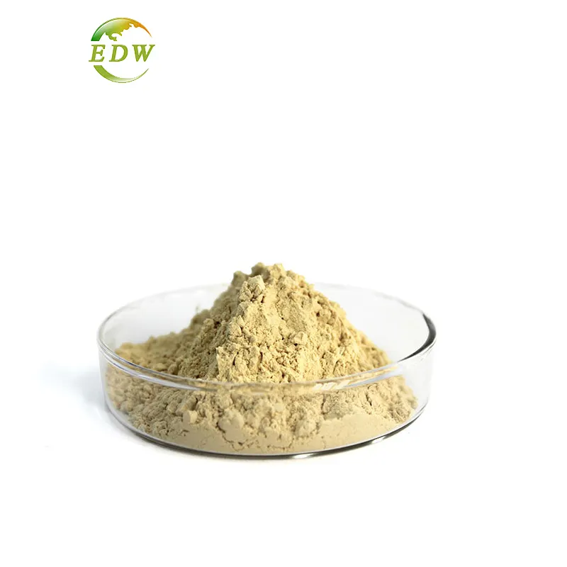Wholesale Best Price Astragalus Root Extract powder Cycloastragenol 1%-99% Polysaccharide Powder