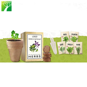 Venta al por mayor Cultive su propia albahaca Cilantro Perejil Salvia Tomillo <span class=keywords><strong>2022</strong></span> Kit de crecimiento completo Juego de cultivo de plantas - Product Image 4