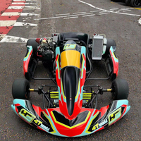 Go Karts para Adultos a Gasolina, Kart de 4 Tiempos con Transmisión por Cadena, Motor Eléctrico y Freno de Disco para Karting al Aire Libre