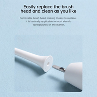 Têtes de rechange pour brosse à dents sonique, compatibles avec les brosses à dents quotidiennes durables pour l'hygiène bucco-dentaire, fournisseur B2B
