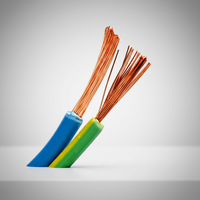 Kabel Tembaga Murni 2/3/4/5/6/7/8/10 Inti Berisolasi PVC untuk Instalasi & Konstruksi