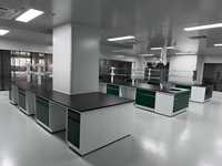 Banco de Laboratorio Económico con Estructura de Acero Laminado en Frío y Madera para Clases de Química Básica