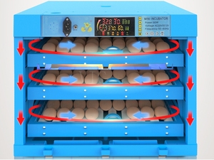 Incubadoras de <span class=keywords><strong>huevos</strong></span> para incubar <span class=keywords><strong>huevos</strong></span> - Product Image 3