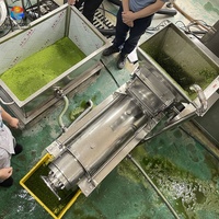 0,5-5T/H RVS 304 energiebesparende fruitpersmachine motor voor de productie van mango-, limoen-, appel- en ananassap