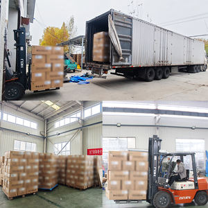 Ensemble complet de digesteur de biogaz pour porcherie, fumier domestique, boue rouge, sac de stockage de gaz pour broyeur de déchets alimentaires - Product Image 5