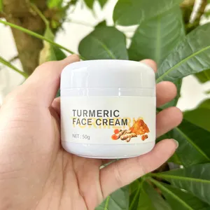 Wholesale Turmeric Cream For Dark Spots Face Skin Lightening Corrector Pigmentation Brightening Whitening OEM Custom