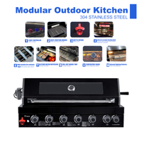 Brûleurs indépendants les mieux notés en acier inoxydable noir 304 hybride gaz/charbon de bois moderne pour la cuisson en plein air toute l'année