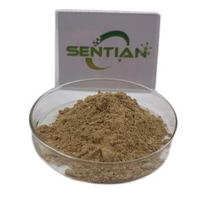 Radix Puerariae Plant the <strong>Root</strong> of Kudzu Vine <strong>Extract</strong> Pueraria Lobata <strong>Extract</strong> Powder - Product Image 4