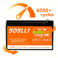 Paket Baterai LiFePO4 12V 7Ah 8Ah 12Ah 20Ah Isi Ulang untuk Kit Robot Pendidikan STEM Proyek Arduino DIY Lab Sains