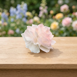 Sola Wood Flowers Artificial Wedding Party Event Decorations <b>Reed</b> <b>Diffuser</b> Decorative White 8cm Environmental Friendly Indoor - Product Image 3