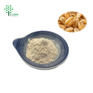 Extracto <span class=keywords><strong>de</strong></span> Germen <span class=keywords><strong>de</strong></span> <span class=keywords><strong>Trigo</strong></span> en Polvo con 1% <span class=keywords><strong>de</strong></span> Espermidina - Product Image 2