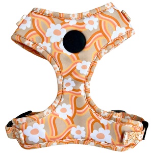 Phụ Kiện Vật Nuôi 2025 Teddy Pitbull Thiết Kế Con Chó Cổ Áo Và Dây Xích Thiết Lập Sang Trọng Tùy Chỉnh Con Chó Khai Thác Mascotas Accesorios Por Thị Trưởng - Product Image 1