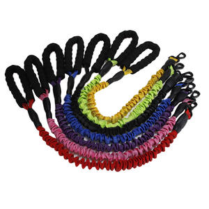 Correa Elástica Telescópica para Perros Pequeños, Medianos y Grandes - Product Image 1