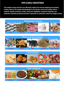 खाद्य उद्योग के लिए कस्टम उच्च गति डिजिटल सॉर्टिंग वजन मशीन खाद्य उद्योग के लिए - Product Image 6