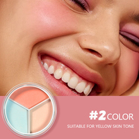 Poudre libre 3 couleurs de contrôle d'huile de marque privée poudre de réglage longue durée avec logo personnalisé poudre correcteur de maquillage pour le visage OEM