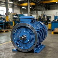 Moteur synchrone personnalisé PMSM à aimant permanent triphasé, moteur AC industriel 3000W 50-150Hz à fréquence variable vectorielle