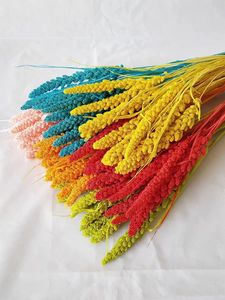 Approvisionnement d'usine fleurs décoration <span class=keywords><strong>millet</strong></span> Nature <span class=keywords><strong>Millet</strong></span> Fleur Herbe Graines Coloré Plante Naturelle <span class=keywords><strong>Millet</strong></span> Séché - Product Image 3