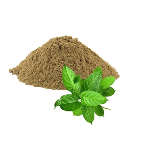สารสกัดยิมเนมาแห้ง 75% โดย GV Powder ผงใบสมุนไพร สารสกัดจากพืชธรรมชาติ สำหรับผลิตภัณฑ์เสริมอาหาร - Product Image 1