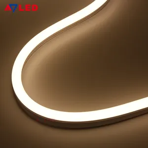 China Manufacturer Rainbow SMD2835 Side Emitting Flexible Single Color 5M Reel LED Neon Strip Light