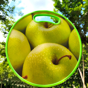 Tabla de cortar multifuncional de PP antibacteriana de doble cara para verduras y frutas, herramienta de cocina - Product Image 4