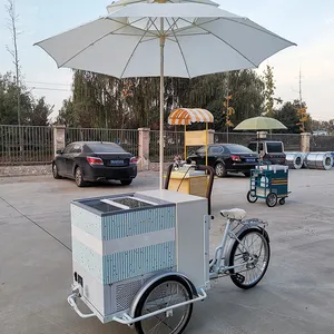 Carrinho De Triciclo Trike Elétrico Móvel Sorvete Congelado Vending Bicicleta