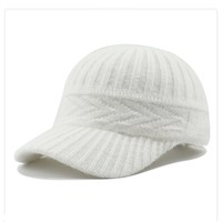 Dames Herfst En Winter Koreaanse Mode Wollen Baseballpet Custom Logo Warm Gebreide Japanse Serie Groothandel