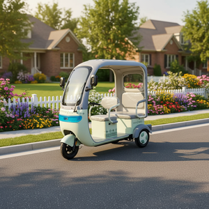 Tricycle électrique urbain à cabine ouverte, haute puissance, 25 km/h, 3 <span class=keywords><strong>places</strong></span>, pour personnes âgées - Product Image 2