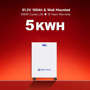 Power Wall <span class=keywords><strong>Stockage</strong></span> d'énergie solaire <span class=keywords><strong>photovoltaïque</strong></span> 5 Kwh 51.2V 100Ah Lifepo4 <span class=keywords><strong>Batterie</strong></span> lithium-ion <span class=keywords><strong>prix</strong></span> - Product Image 1