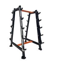 Support de Rangement Commercial de Haute Qualité pour Haltères et Poids Libres – Équipement de Musculation Professionnel pour Salle de Sport