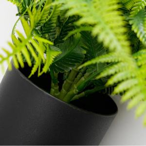 <span class=keywords><strong>Bonsai</strong></span> hoja persa Micro paisaje decoración helecho en maceta Artificial para sala de estar decoración de escritorio planta verde para el hogar - Product Image 3