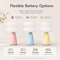 Lampe de table en verre sans fil rechargeable avec base en céramique USB-C 3CCT à intensité variable tactile pour restaurant hôtel