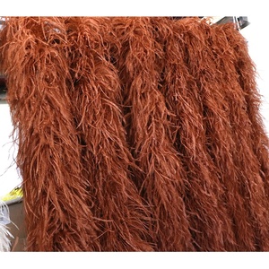 Plumas de Avestruz Teñidas de 10-15 cm, Económicas, Grandes, Gruesas, de 10 Capas, 2 Metros, para Manualidades y Ropa - Product Image 6