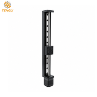 Moteur pas à pas hybride Nema11 28 mm 2 phases avec vis mère en acier inoxydable, course de 250 mm, pour machine de distribution, CW CCW