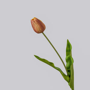 <span class=keywords><strong>Tulipanes</strong></span> rosas amarillos y <span class=keywords><strong>naranjas</strong></span> a precio de fábrica, <span class=keywords><strong>tulipanes</strong></span> artificiales preservados para el Día DE LA Madre, <span class=keywords><strong>tulipanes</strong></span> artificiales, <span class=keywords><strong>tulipanes</strong></span> en conserva, precio de fábrica al por mayor - Product Image 3