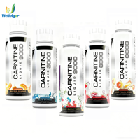 Complément alimentaire à la L-Carnitine liquide 3000mg sans sucre, marque privée, pour soutenir le système immunitaire des adultes, plusieurs saveurs