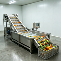 Machine à laver à bulles à grande capacité, conçue pour un fonctionnement continu, idéale pour les lignes d'assemblage des usines de transformation de produits frais.