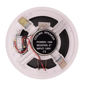 2025 nhà máy chất lượng cao 8 <span class=keywords><strong>inch</strong></span> đen ABS Trần loa cho đầy đủ cho địa chỉ công cộng - Product Image 6